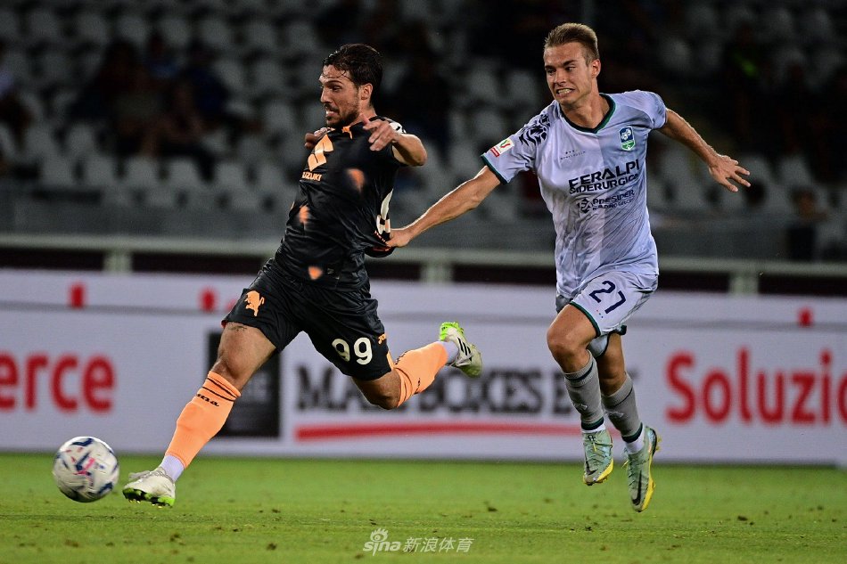 助于增强体 助于增强体